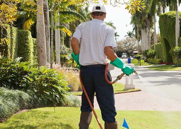 About Firth NE Pest Control